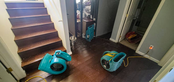 Best 24/7 water damage repair  in University Place, WA