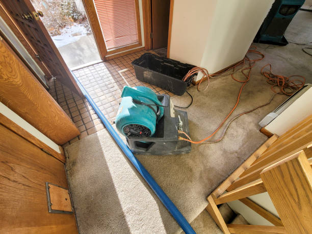 Water damage restoration insurance claims in WA