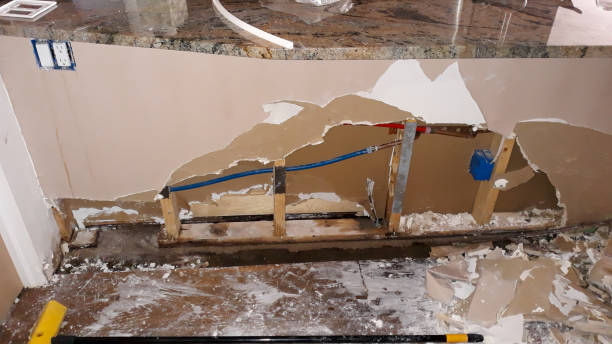 Best Ceiling water damage repair  in University Place, WA