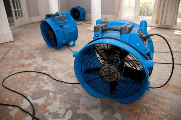 Best Water damage contractors near me  in University Place, WA