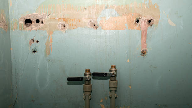 Best Water damage restoration insurance claims  in University Place, WA