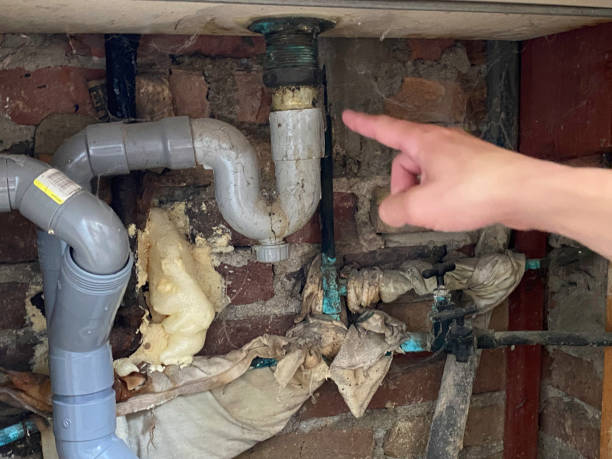 Best Carpet water damage restoration  in University Place, WA